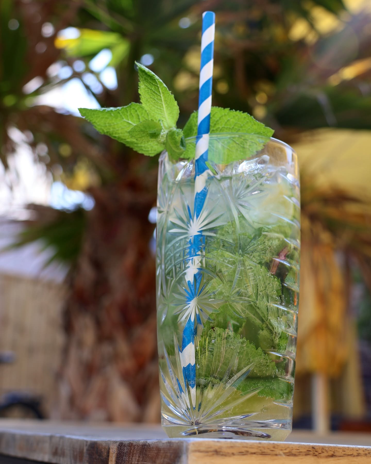 Cocktails et apéro à La Kermesse